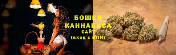 сатива Арсеньев