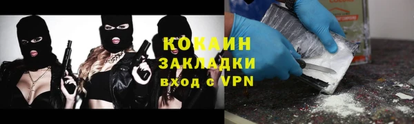 сатива Арсеньев