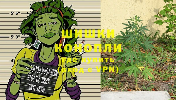 ALPHA PVP Белокуриха