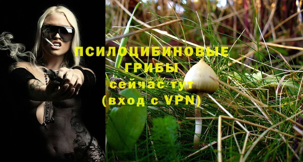 прущий лед Белоозёрский
