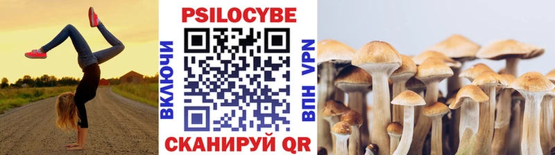 Псилоцибиновые грибы Magic Shrooms  Купить закладки  Сковородино 